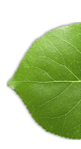 industry science kinematica